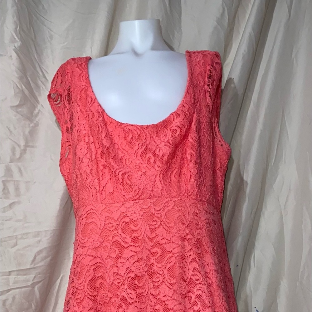 Pink lane Bryant dress with lace cover.